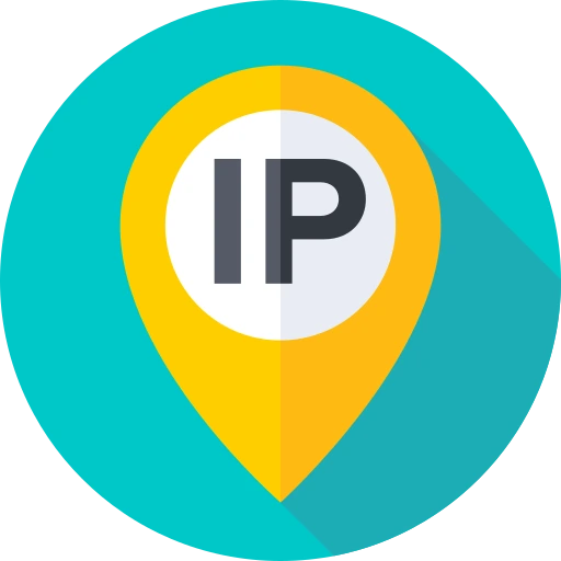IP Address Lookup